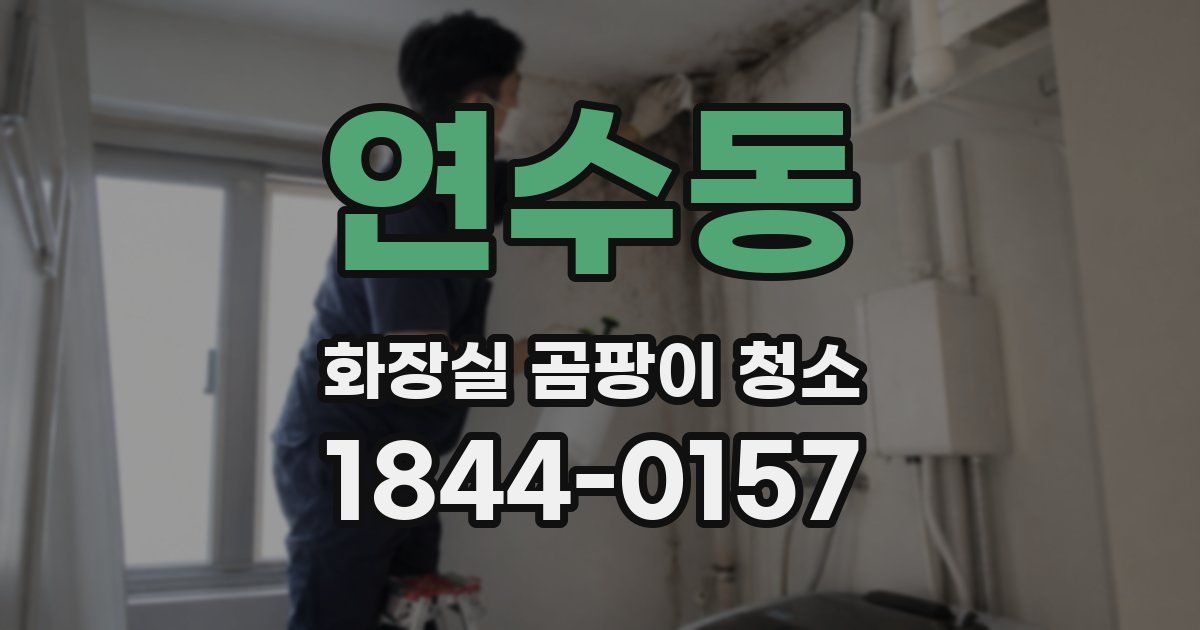 연수동 화장실 곰팡이 청소