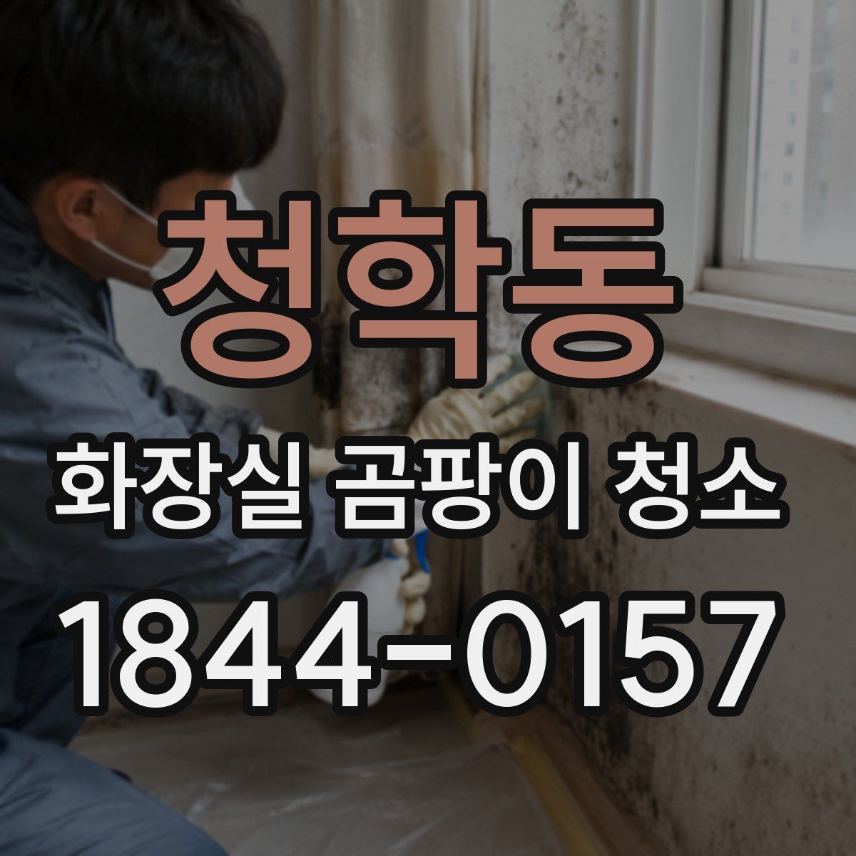 청학동 화장실 곰팡이 청소