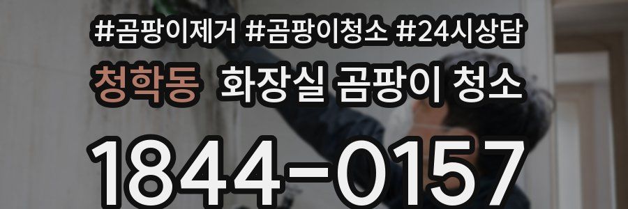 청학동 화장실 곰팡이 청소