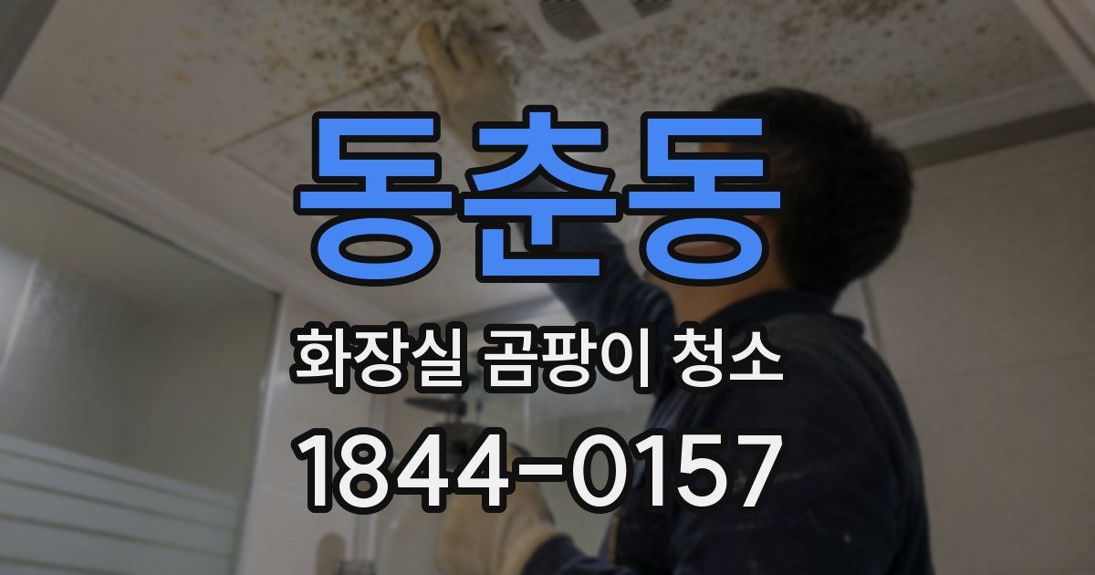 동춘동 화장실 곰팡이 청소