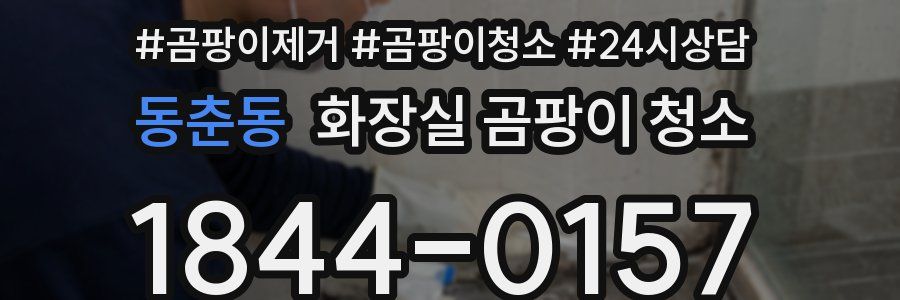 동춘동 화장실 곰팡이 청소