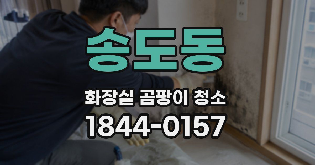 송도동 화장실 곰팡이 청소