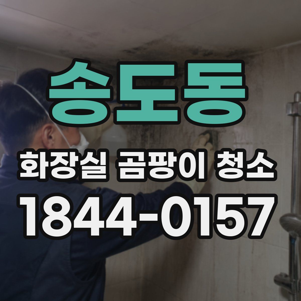송도동 화장실 곰팡이 청소