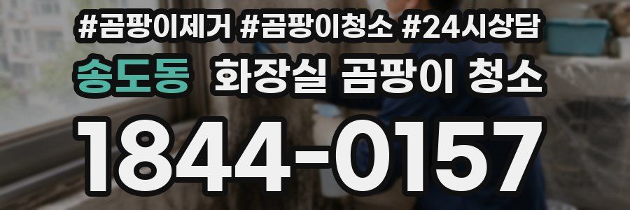 송도동 화장실 곰팡이 청소