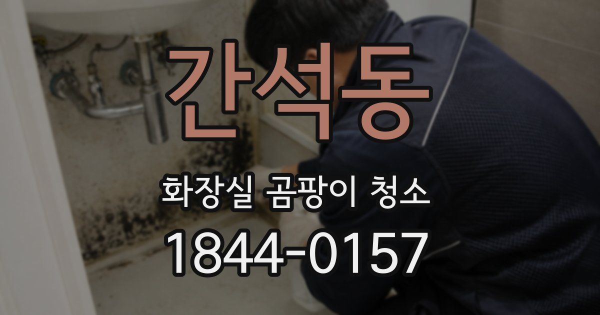 간석동 화장실 곰팡이 청소