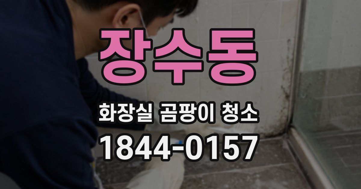 장수동 화장실 곰팡이 청소