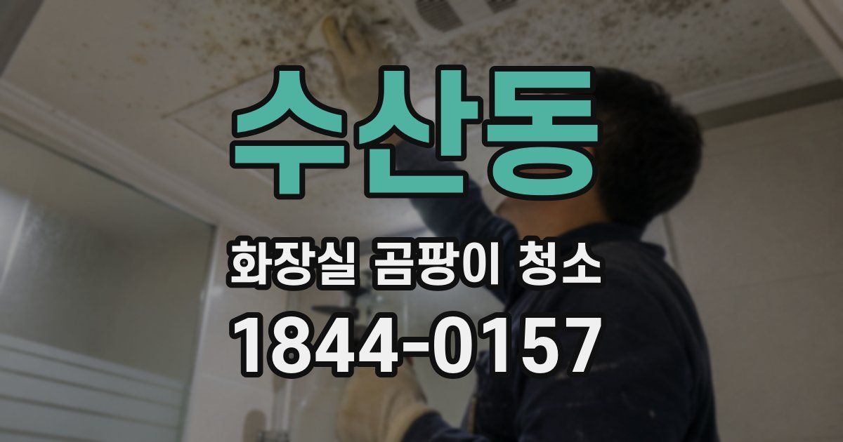 수산동 화장실 곰팡이 청소