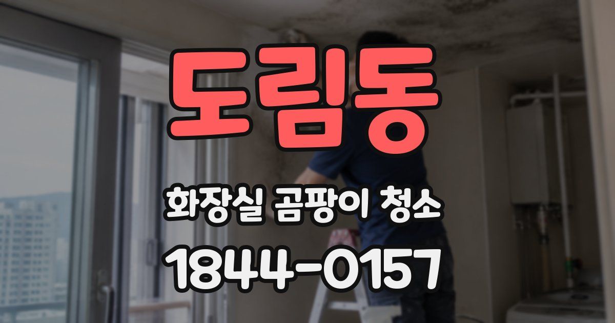 도림동 화장실 곰팡이 청소
