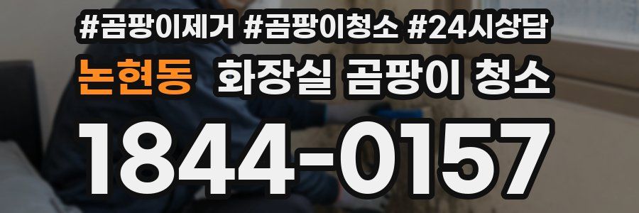 논현동 화장실 곰팡이 청소