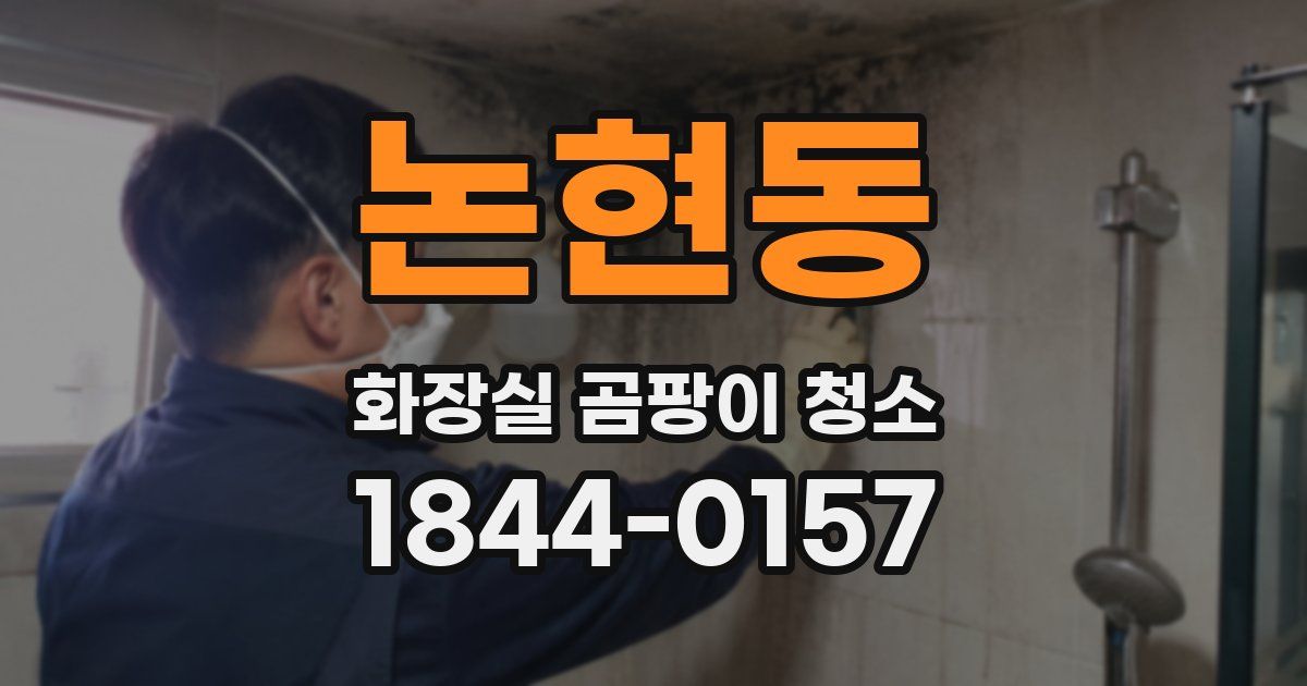 논현동 화장실 곰팡이 청소