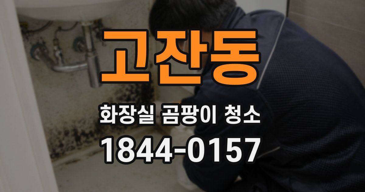 고잔동 화장실 곰팡이 청소
