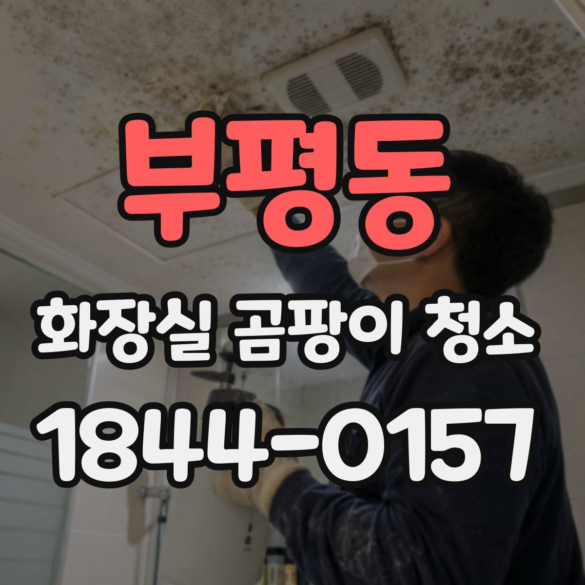 부평동 화장실 곰팡이 청소