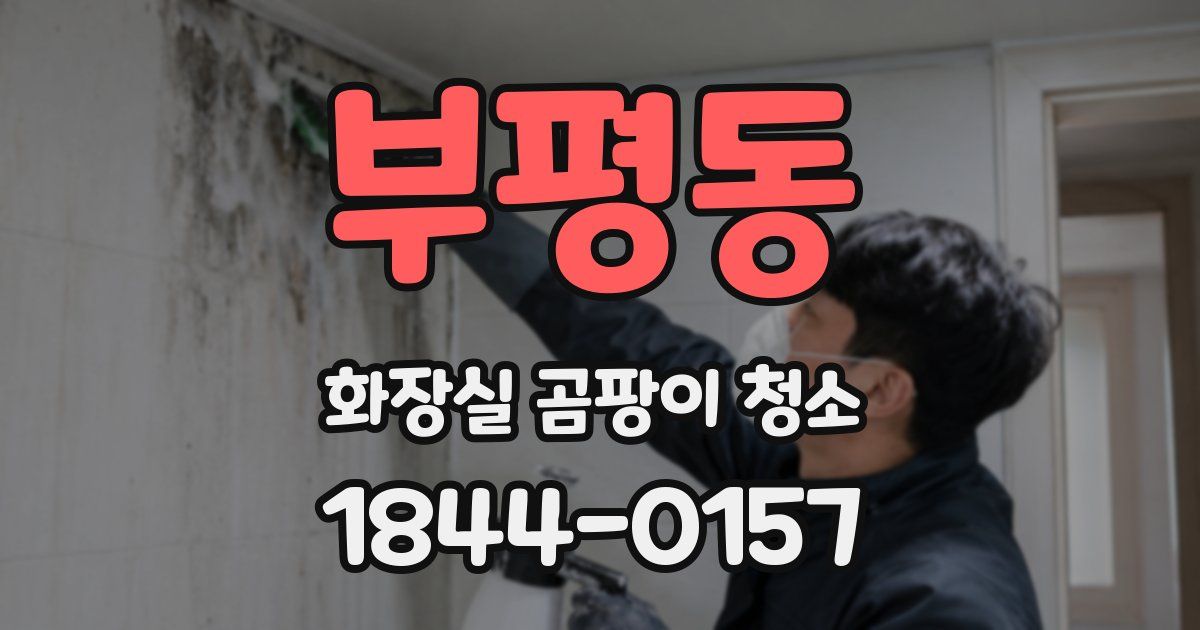 부평동 화장실 곰팡이 청소