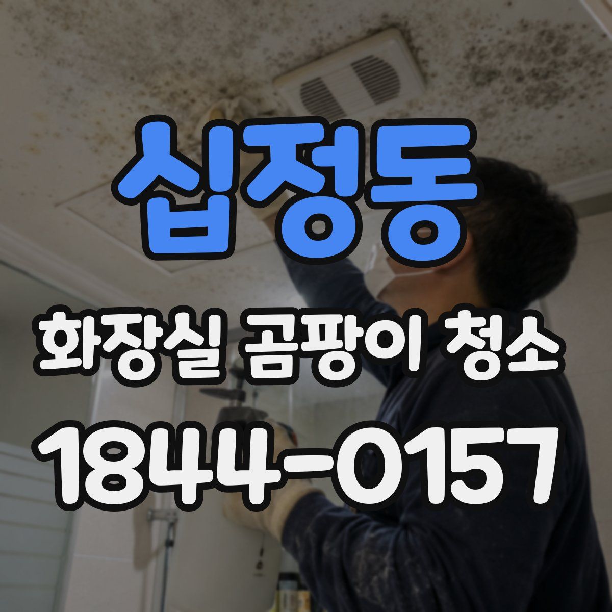 십정동 화장실 곰팡이 청소