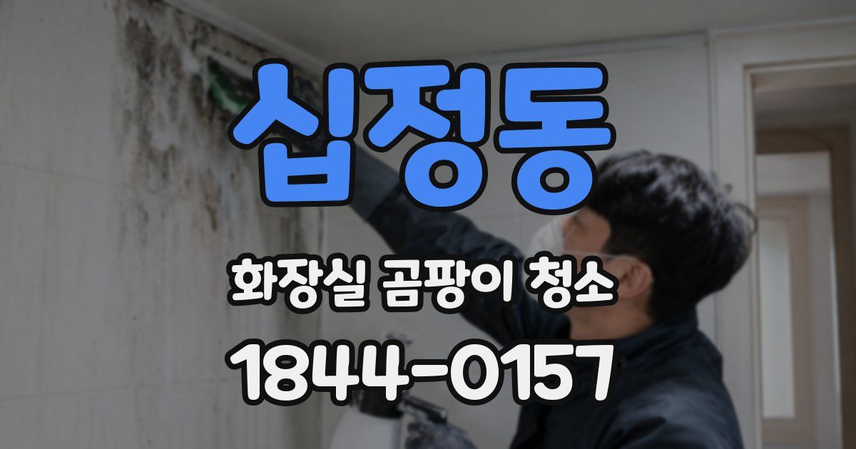 십정동 화장실 곰팡이 청소