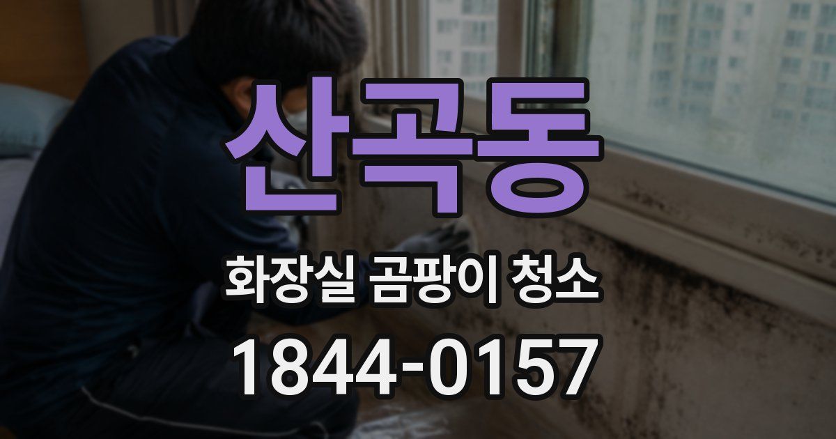 산곡동 화장실 곰팡이 청소