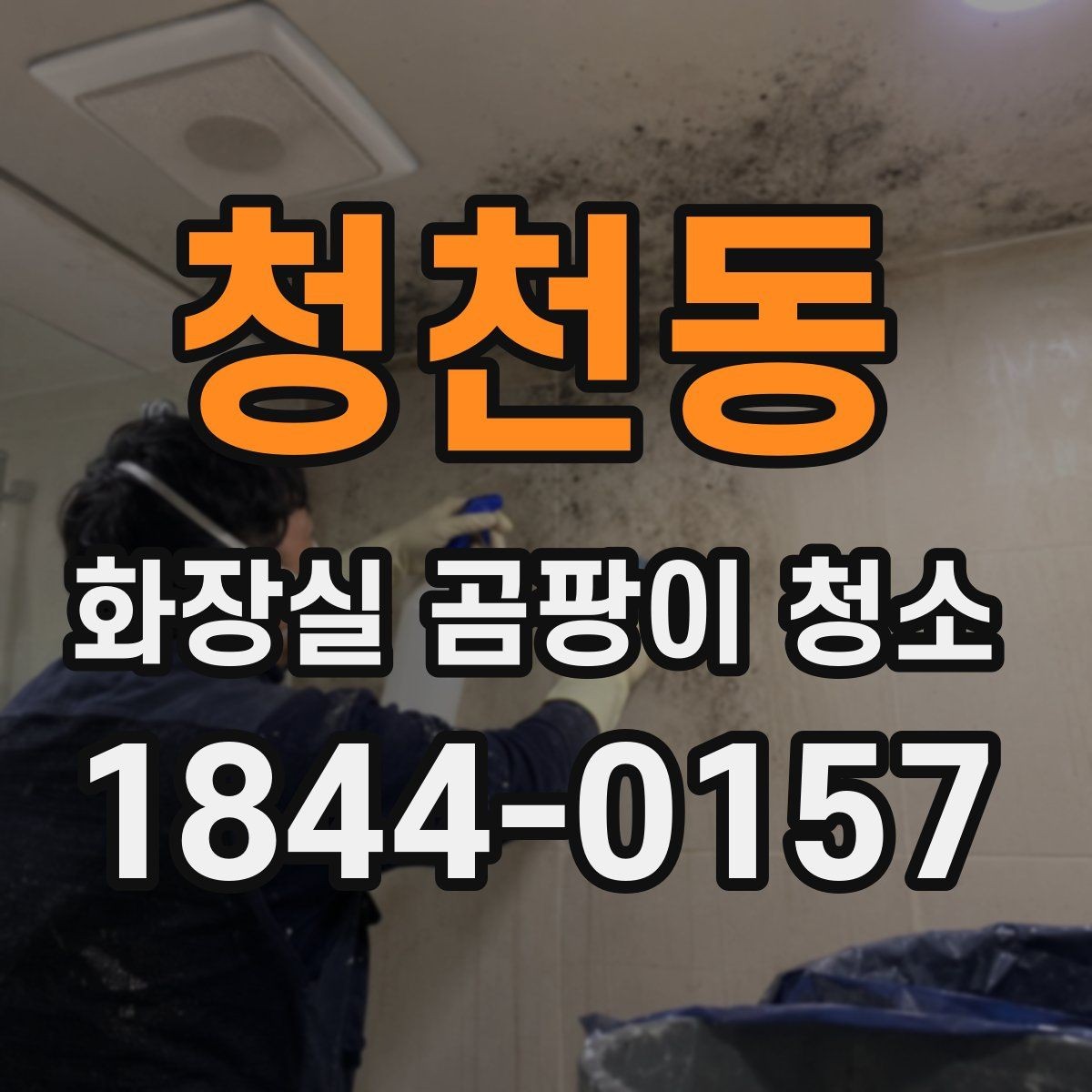 청천동 화장실 곰팡이 청소 습기가 잘 마르지 않는 공간 관리법