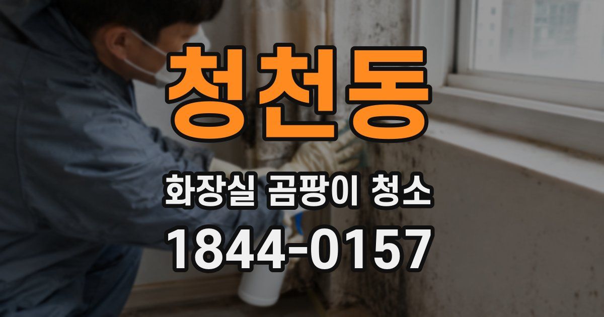 청천동 화장실 곰팡이 청소