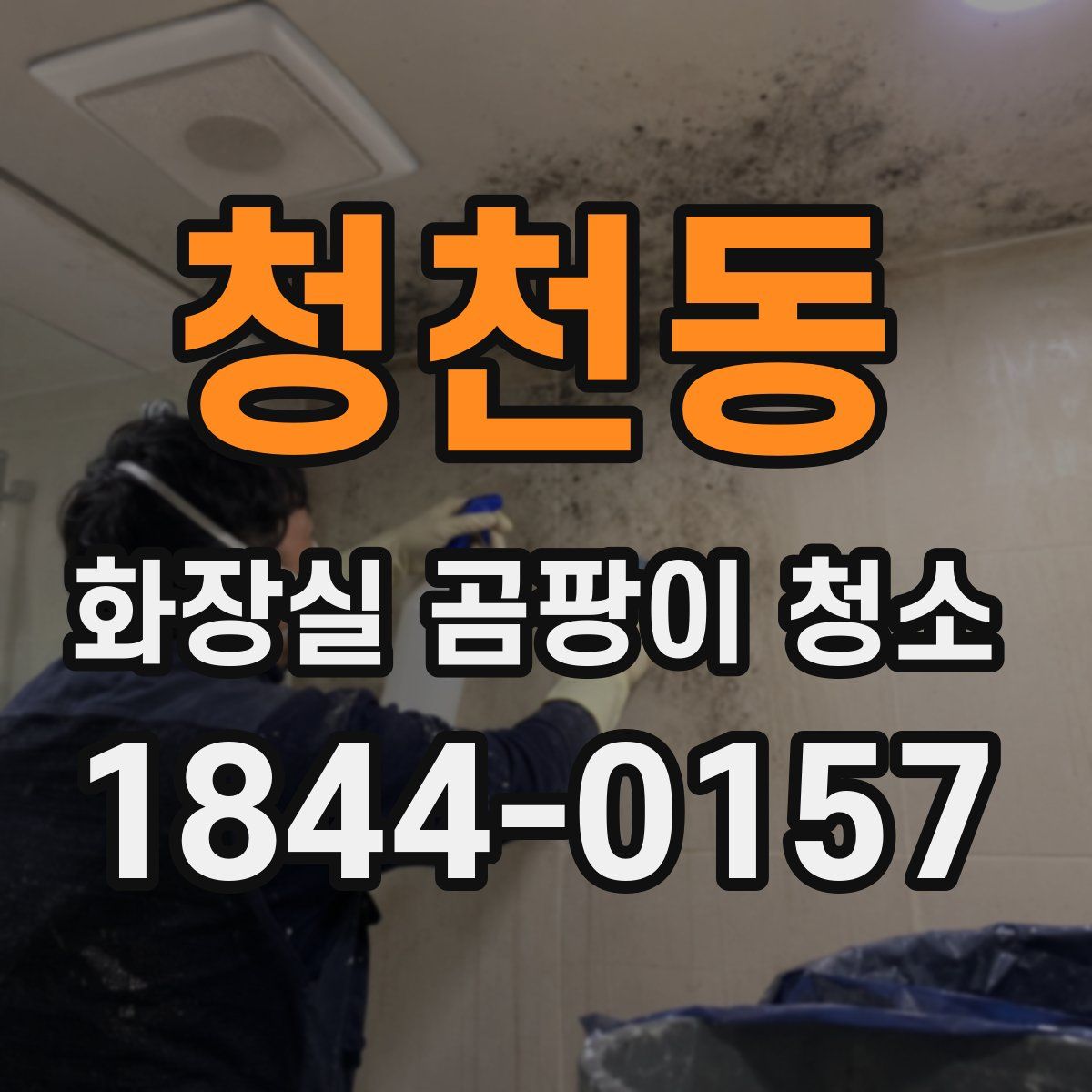 청천동 화장실 곰팡이 청소