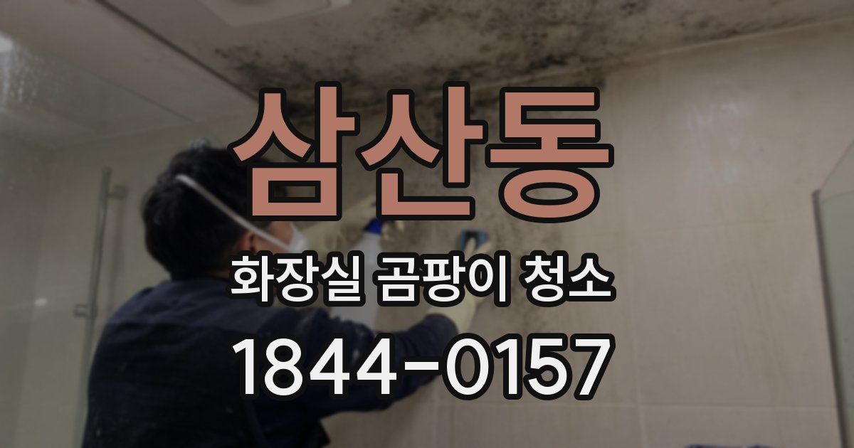 삼산동 화장실 곰팡이 청소