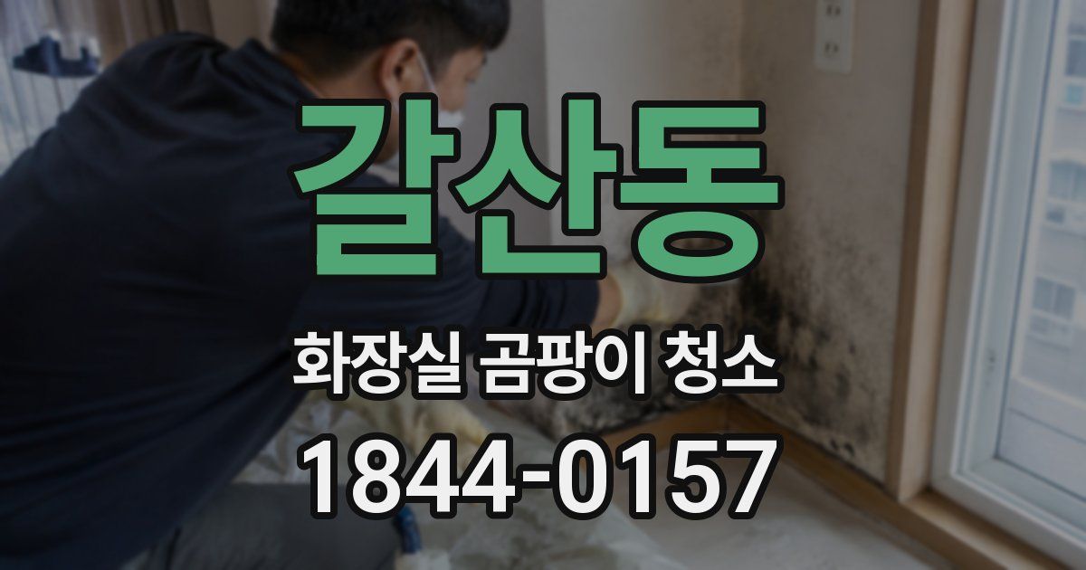 갈산동 화장실 곰팡이 청소
