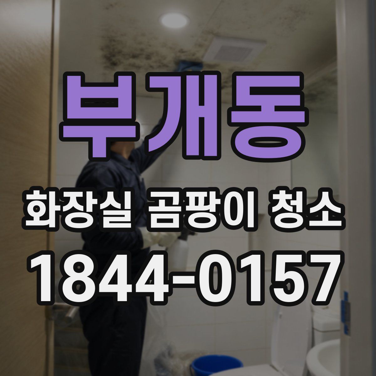 부개동 화장실 곰팡이 청소
