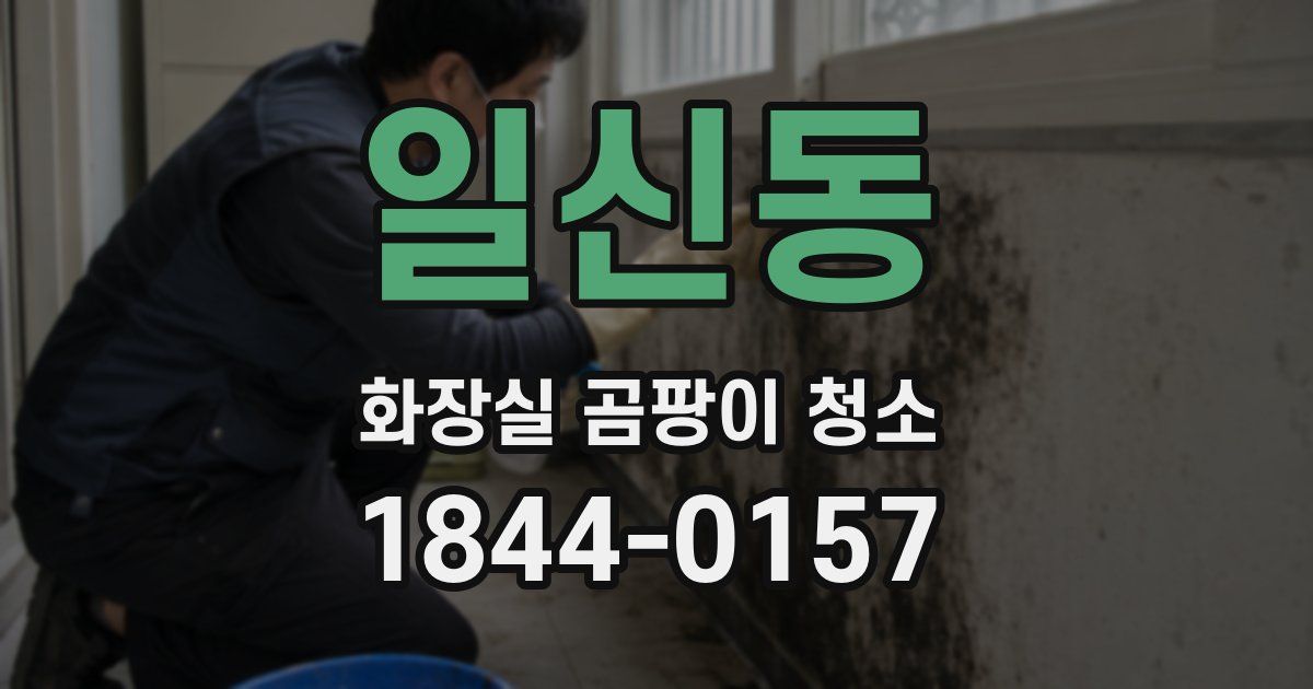 일신동 화장실 곰팡이 청소