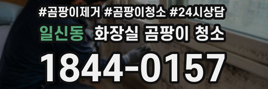 일신동 화장실 곰팡이 청소