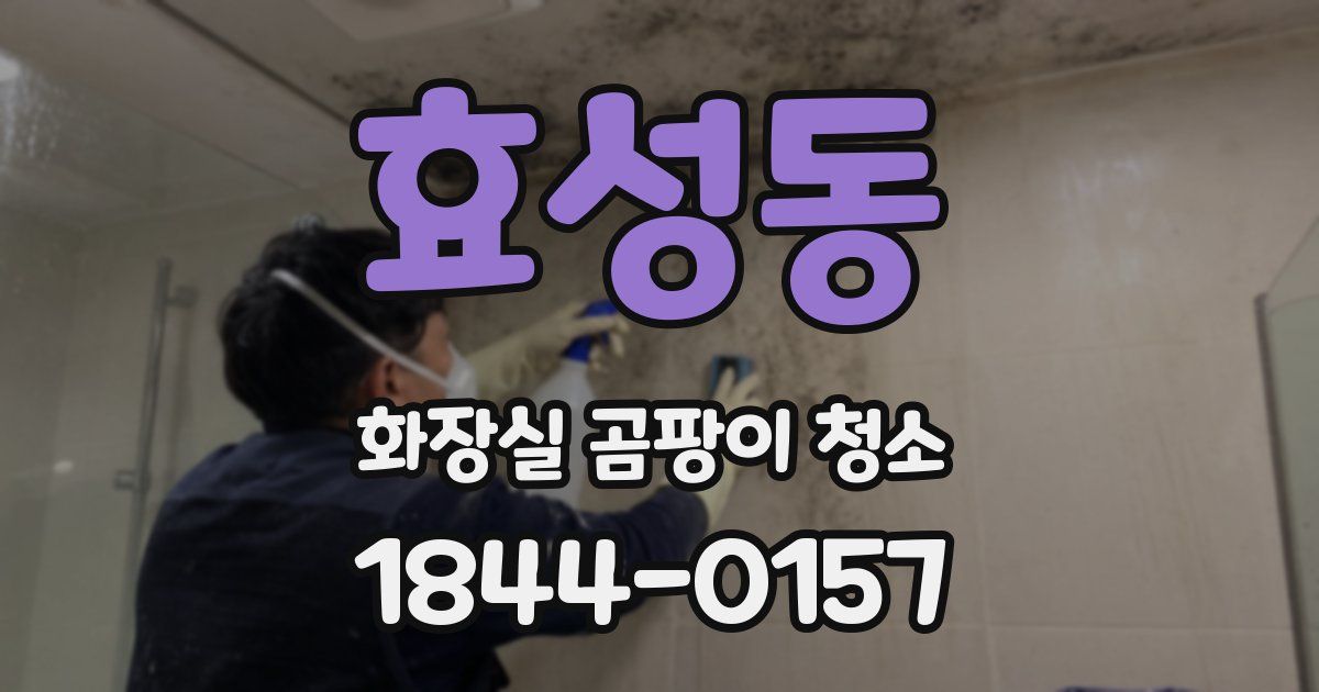 효성동 화장실 곰팡이 청소