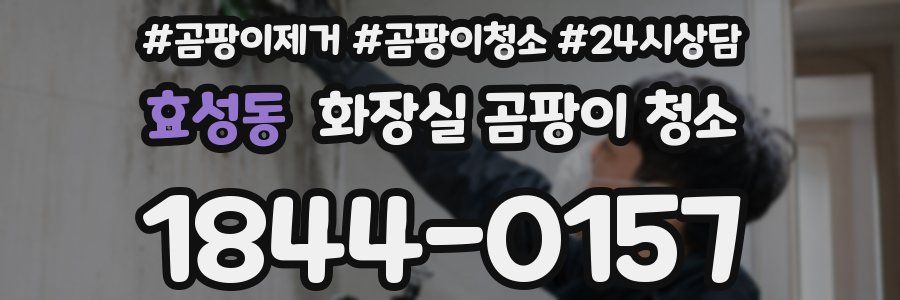 효성동 화장실 곰팡이 청소