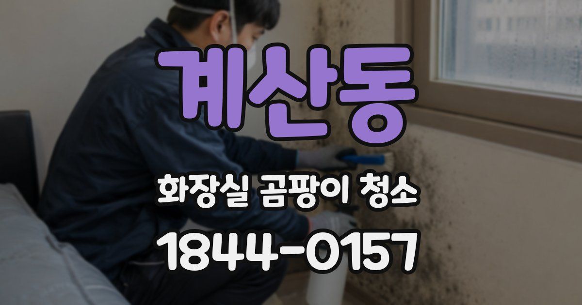 계산동 화장실 곰팡이 청소