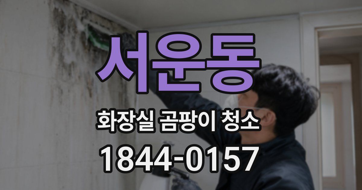 서운동 화장실 곰팡이 청소