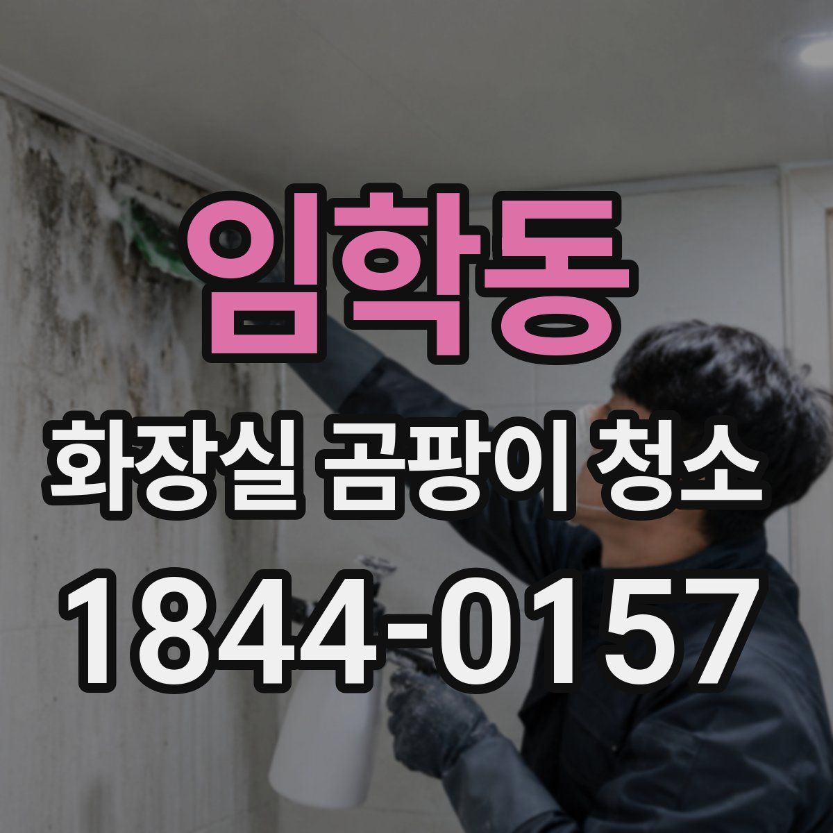 임학동 화장실 곰팡이 청소