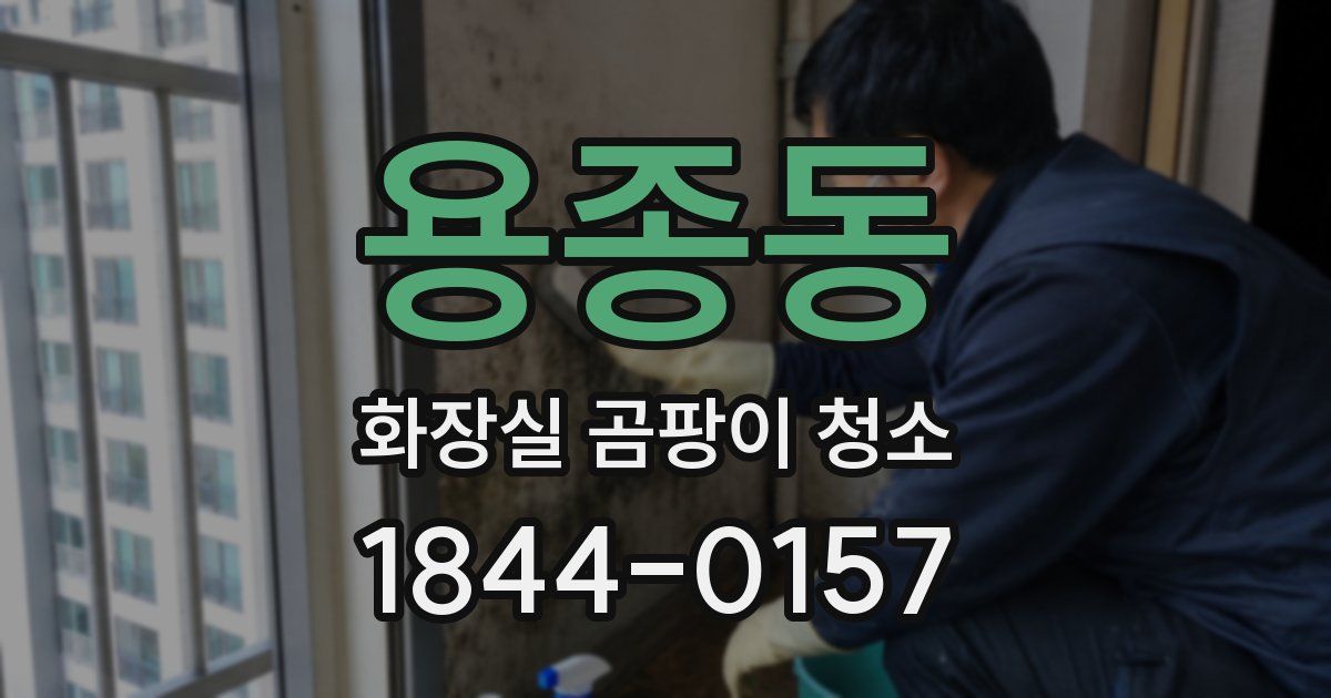 용종동 화장실 곰팡이 청소