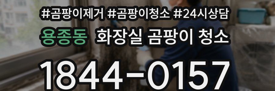 용종동 화장실 곰팡이 청소