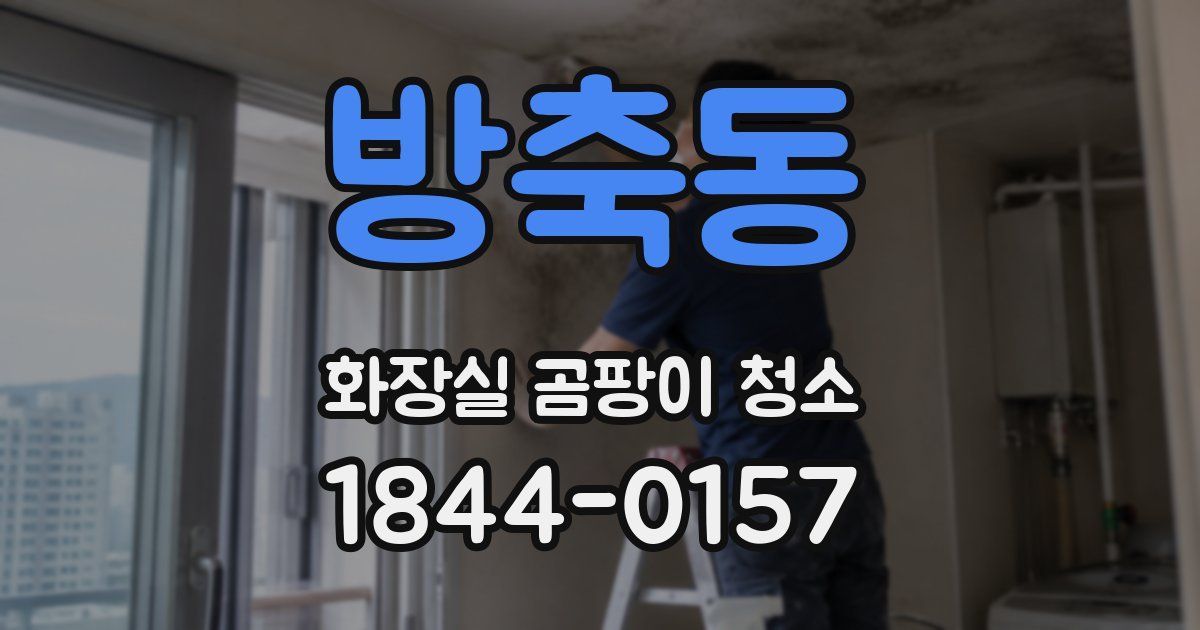 방축동 화장실 곰팡이 청소