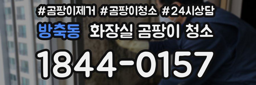 방축동 화장실 곰팡이 청소