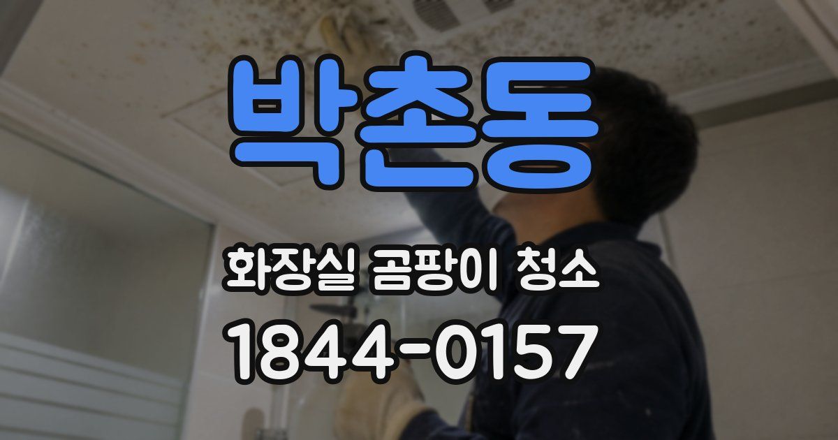 박촌동 화장실 곰팡이 청소