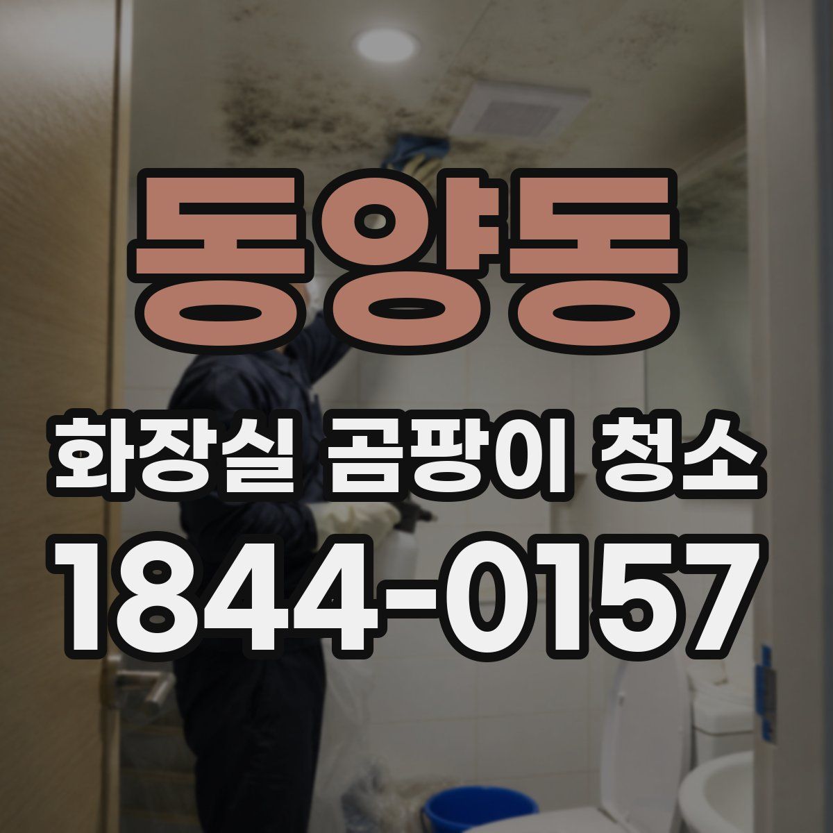동양동 화장실 곰팡이 청소