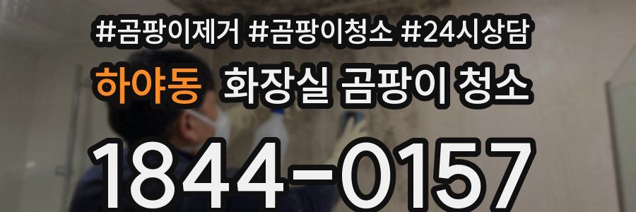 하야동 화장실 곰팡이 청소