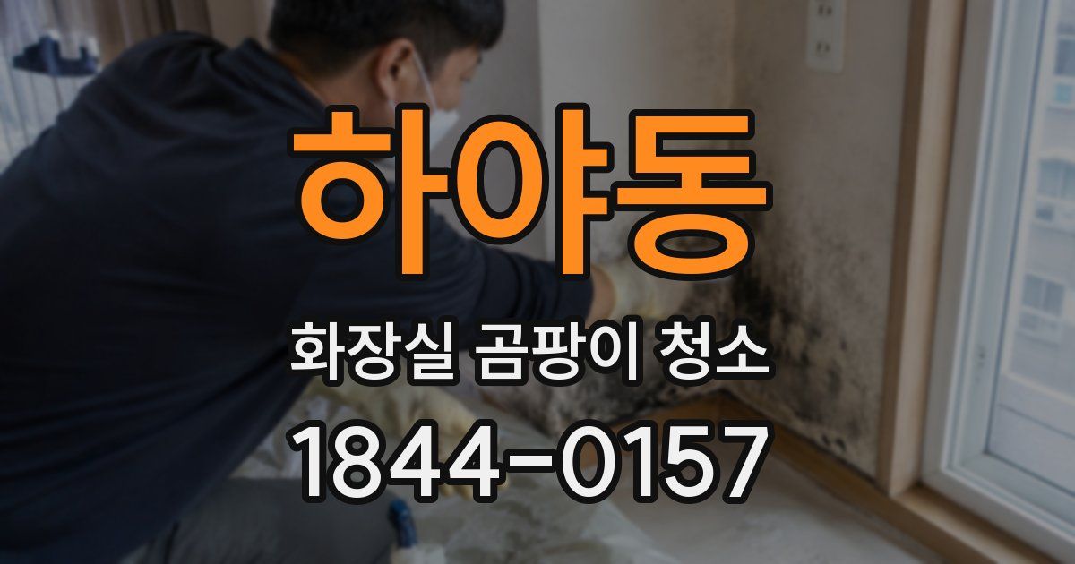하야동 화장실 곰팡이 청소