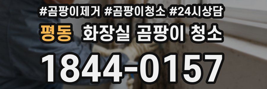 평동 화장실 곰팡이 청소