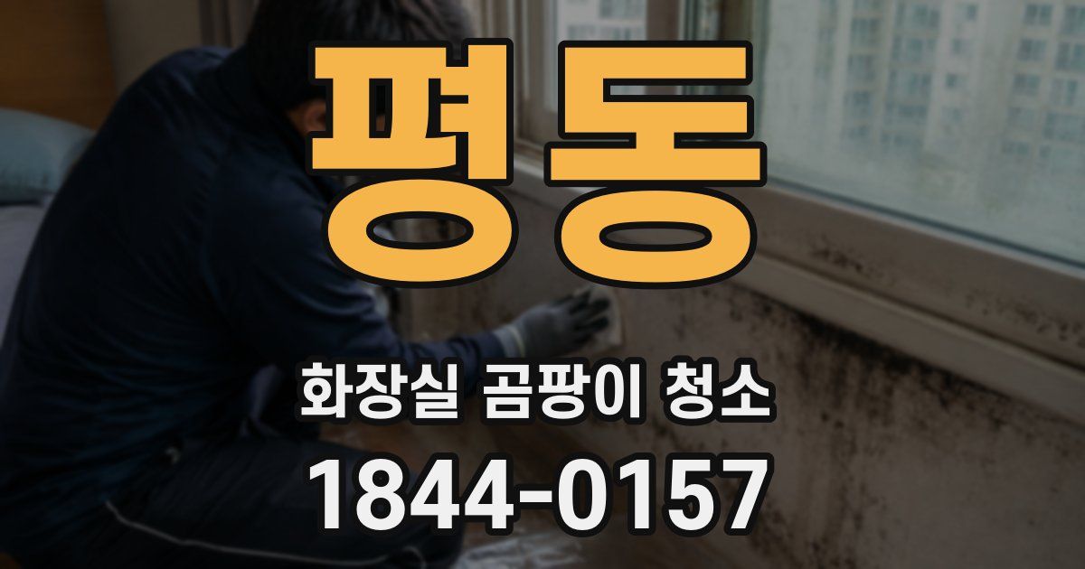 평동 화장실 곰팡이 청소