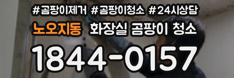 노오지동 화장실 곰팡이 청소