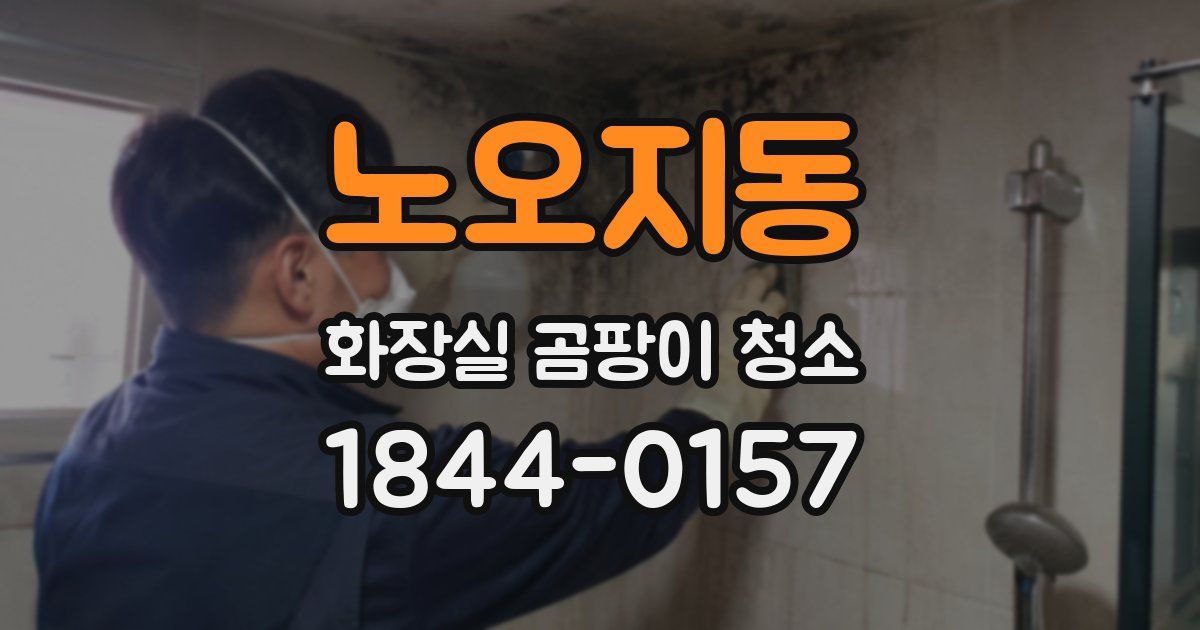 노오지동 화장실 곰팡이 청소