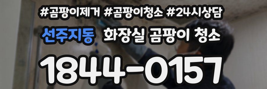 선주지동 화장실 곰팡이 청소