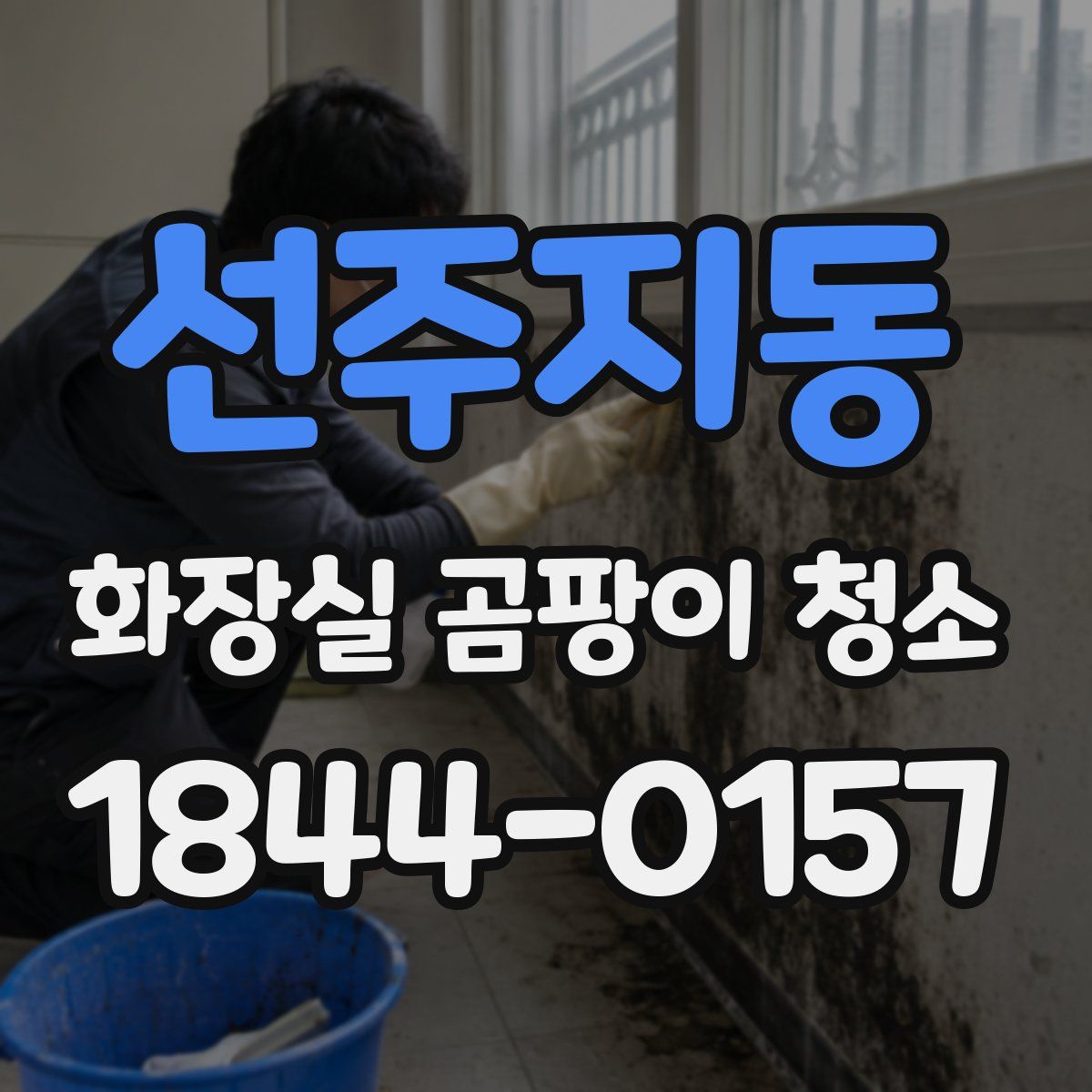 선주지동 화장실 곰팡이 청소