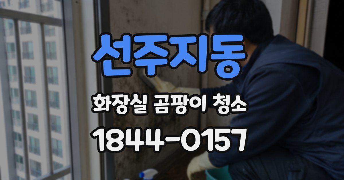 선주지동 화장실 곰팡이 청소
