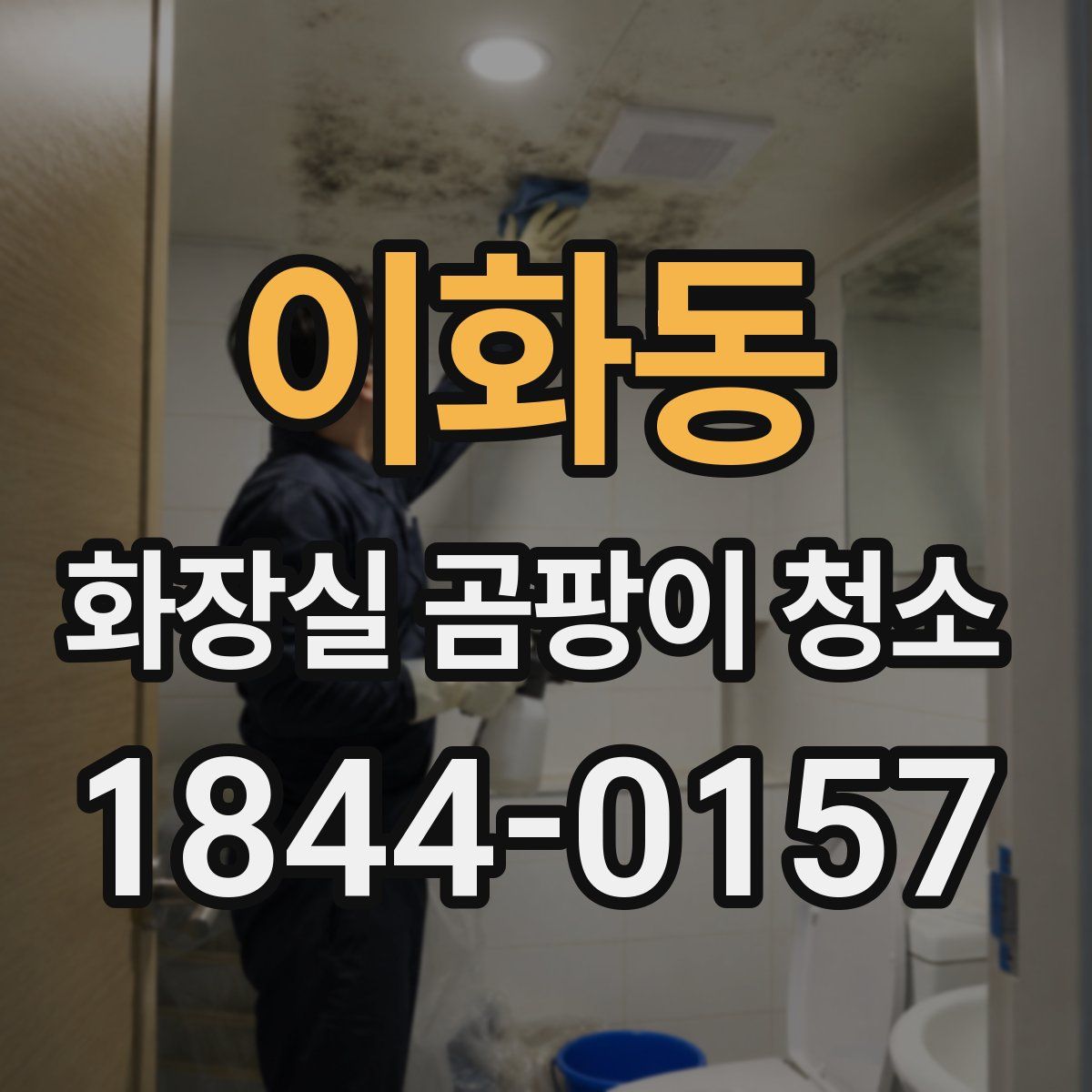 이화동 화장실 곰팡이 청소