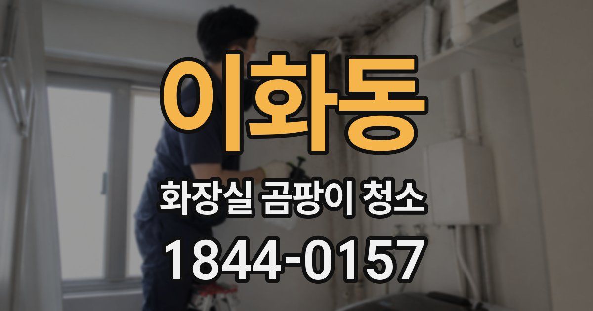 이화동 화장실 곰팡이 청소